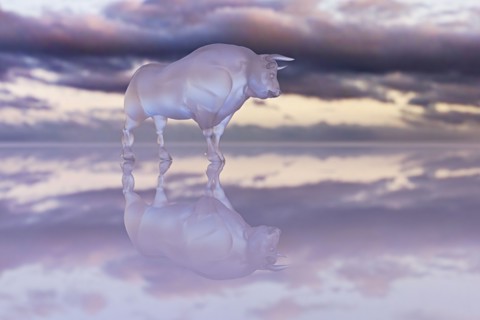 Reflection of glass bull under clouds