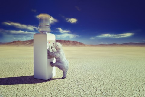 Polar bear climbing water cooler in desert
