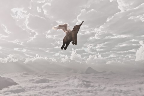 Elephant flying in clouds