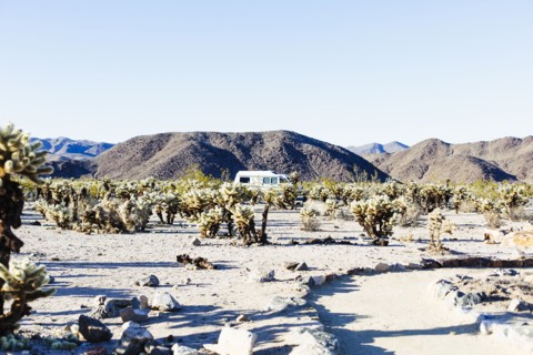 Path through field in desert landscape