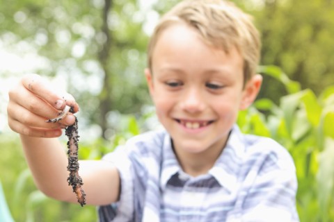 Caucasian boy examining worm