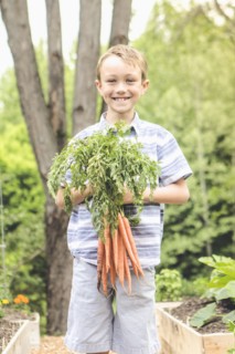Caucasian boy holding carrots in garden