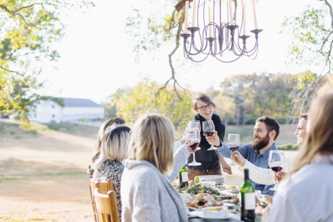 Friends toasting with wine at outdoor table