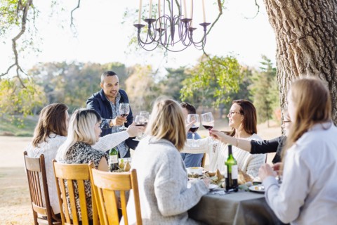 Friends toasting with wine at outdoor table