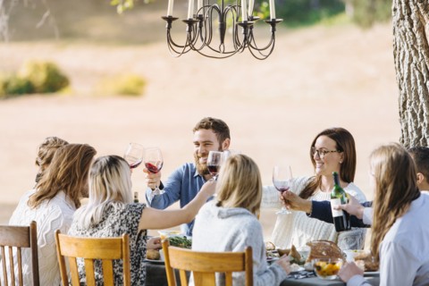 Friends toasting with wine at outdoor table
