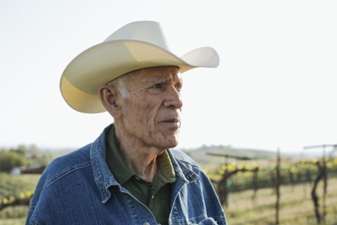 Hispanic farmer standing in vineyard
