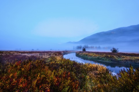 Fog over river and rural landscape