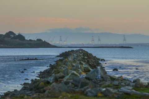 Rocky jetty in ocean bay