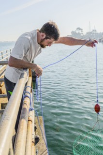 Caucasian man crabbing with net on wooden pier