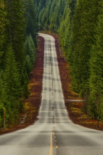 Road on hill through rural forest