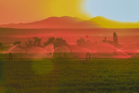 Sprinklers watering rural farmland