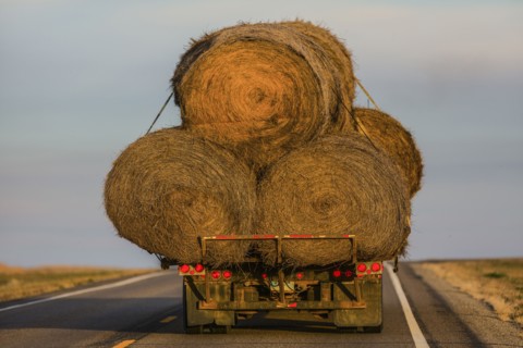 Truck carrying hay bales on rural highway