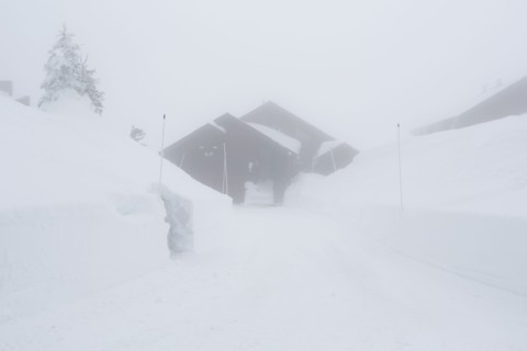 Snow drifts near driveway and house