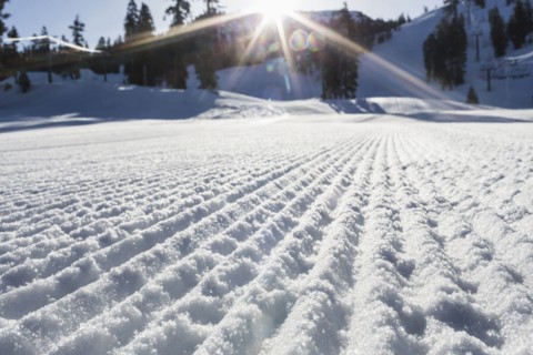 Ridges in snow covered field