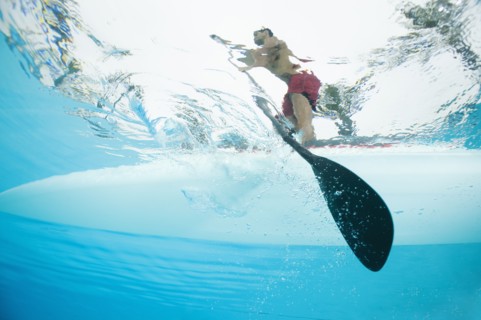 Mixed race man paddling on surfboard