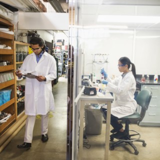 Scientists working in laboratory