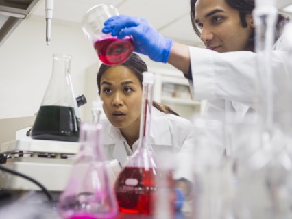 Scientists working in laboratory