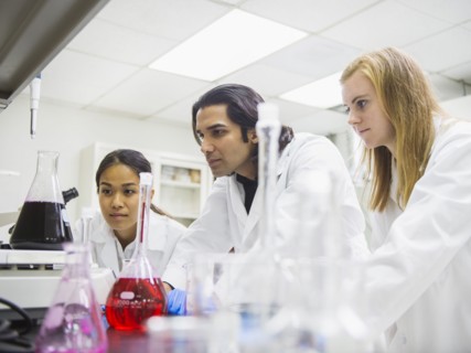 Scientists working in laboratory