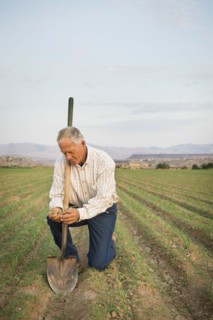 Caucasian farmer planting seeds in crop field