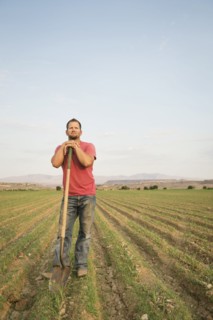 Caucasian farmer with shovel in crop field