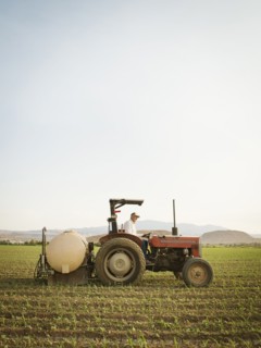 Caucasian farmer driving tractor in crop field