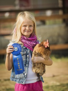 Caucasian girl with prize winning chicken on farm
