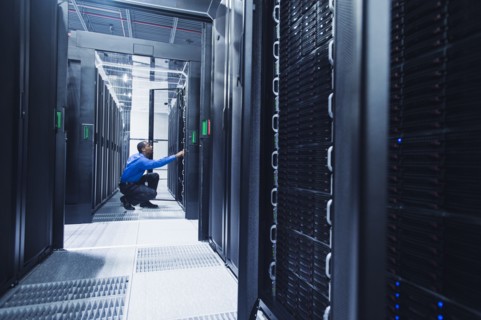 Black businessman working in server room