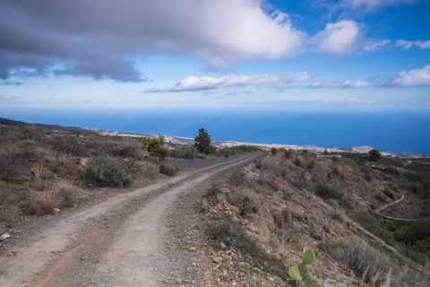 Dirt path near ocean
