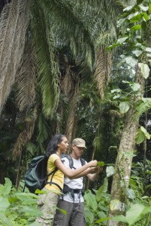 Hispanic couple exploring jungle