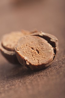 Close up of chocolate truffle