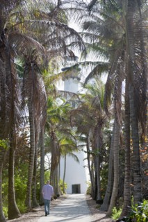 Hispanic man walking on tropical path