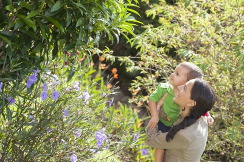 Hispanic mother and son looking at plants