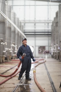 Chilean man holding industrial hose at winery