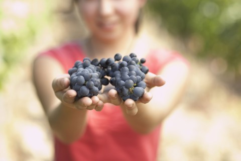 Hispanic woman holding two bunches or red grapes