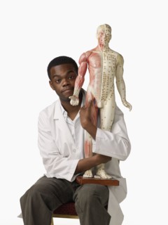 African chiropractor holding anatomical model