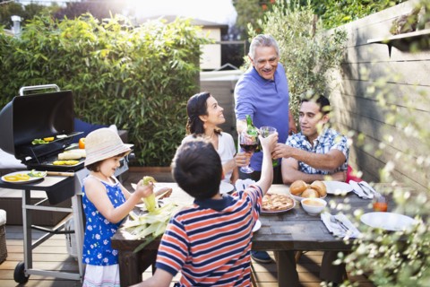 Family toasting each other at table outdoors
