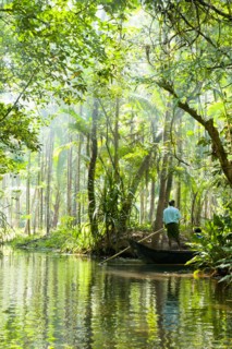 Man standing in boat on tranquil forest river