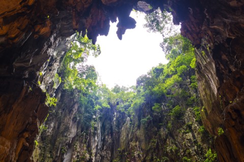 Cave opening in jungle landscape
