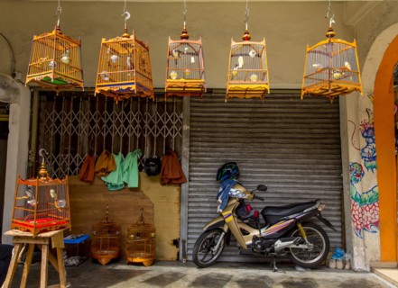 Motorcycle parked outside birdcage shop
