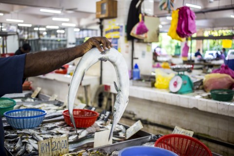 Seller holding fish for sale in market