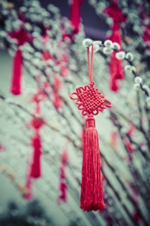 Decorations hanging from plants