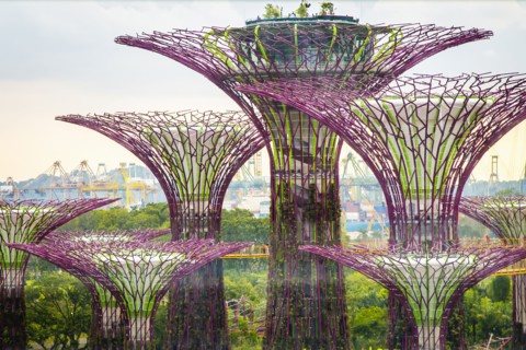 Electric Supertrees in park