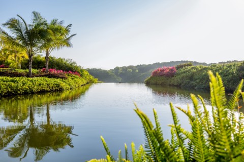 Sky reflected in still tropical lake