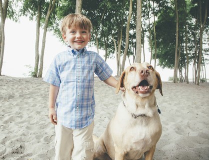 Boy petting dog on wooded beach