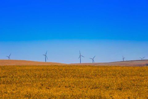 Wind turbines in rural landscape