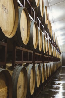 Wine barrels aging