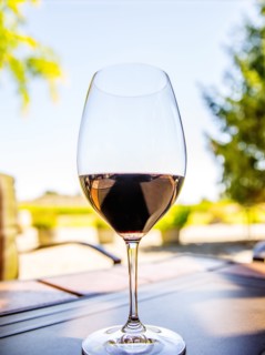 Close up of glass of wine on table