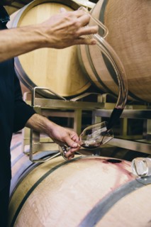 Caucasian man tasting wine