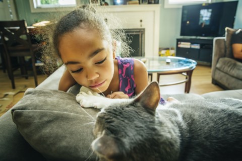 Mixed race girl playing with pet cat on sofa