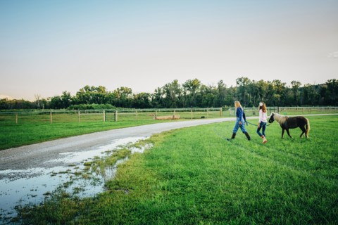 Caucasian mother and daughter walking miniature horse on farm
